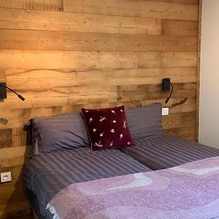 Douillet A Valloire, 12 Pers. - Fr-1-871-6 شاليه فالوار